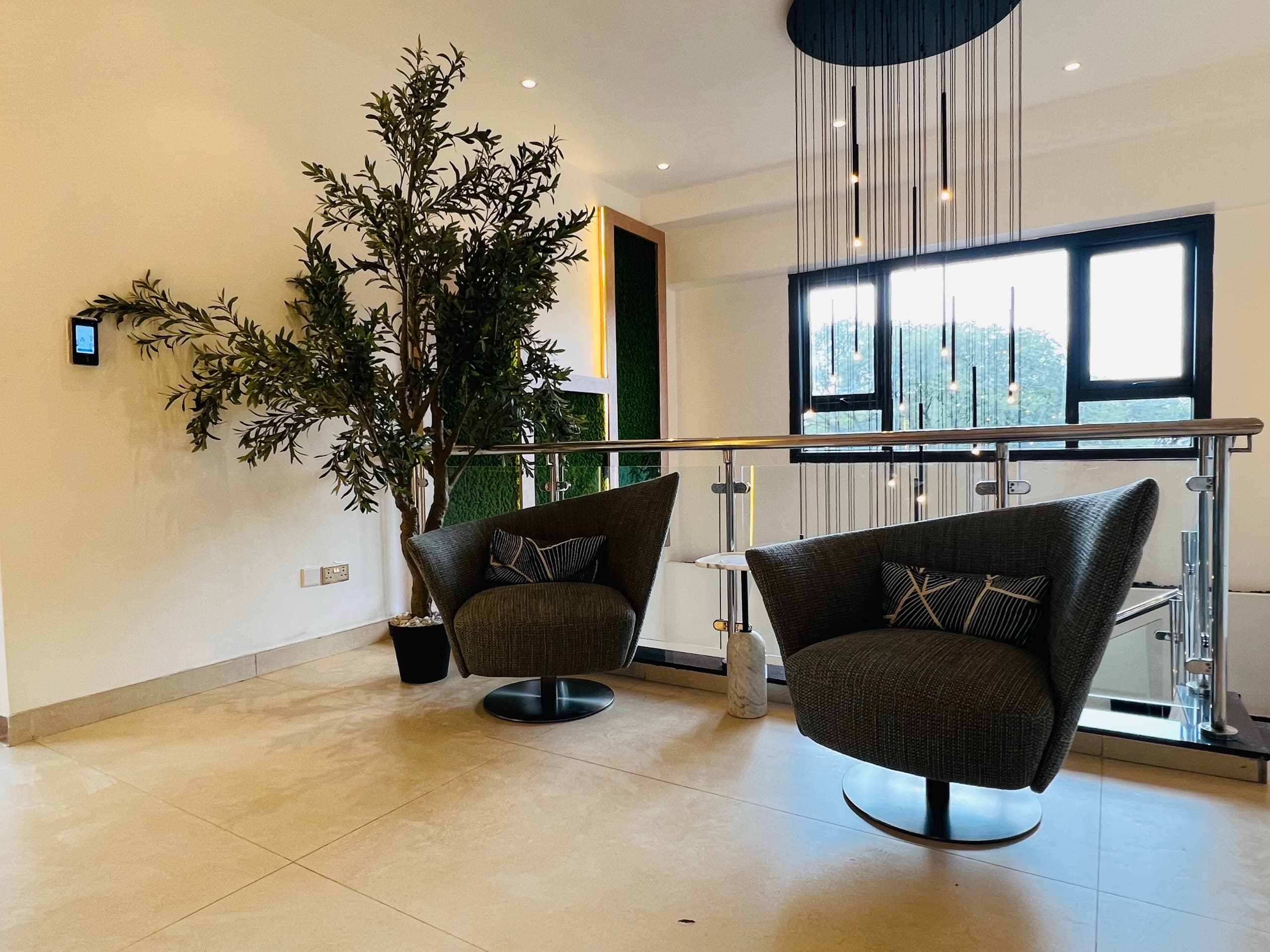 Renegade Air — Command: sculptural lounge chairs, an olive tree and cascading pendant lights in soft natural light